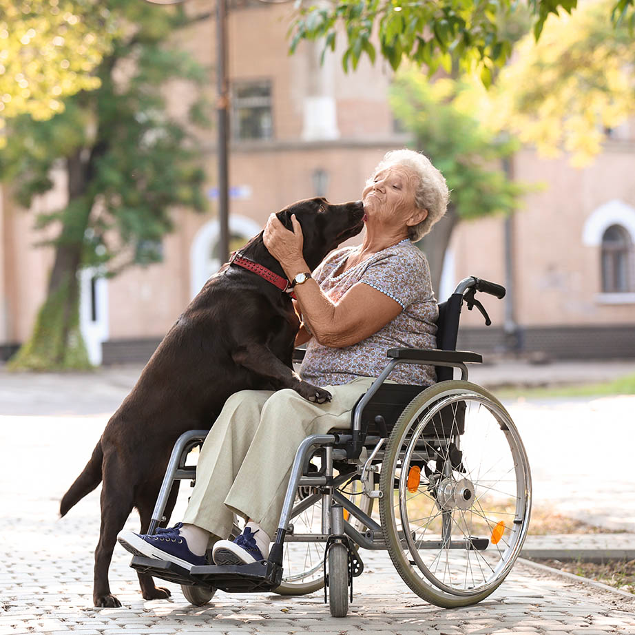 fauteuil-roulant-pharmacie-de-la-place-anzin